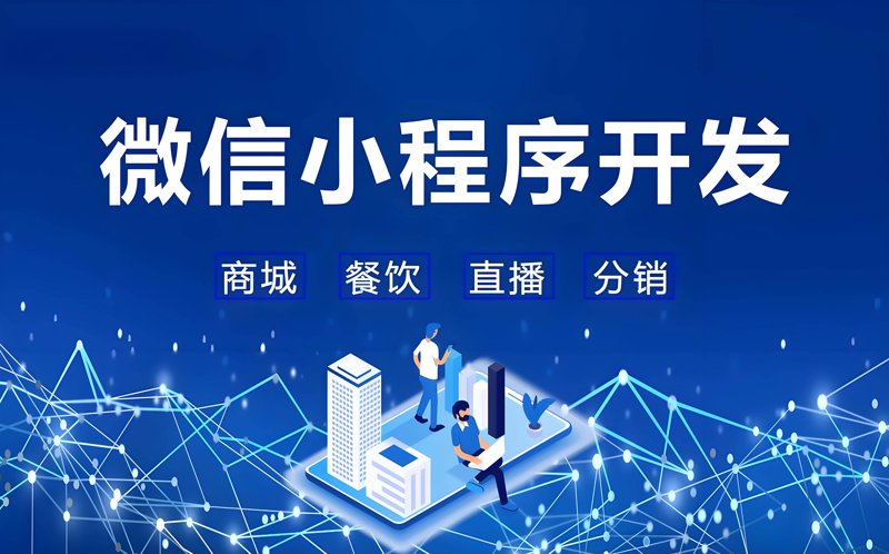 软件定制开发：快速响应业务需求的利器